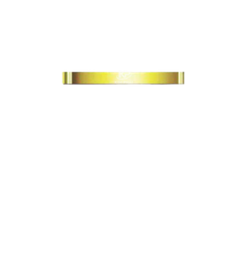 TAY VỊN - HG11